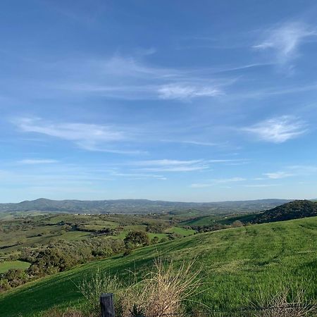 Fattoria Tolomei Campagnatico Exteriör bild