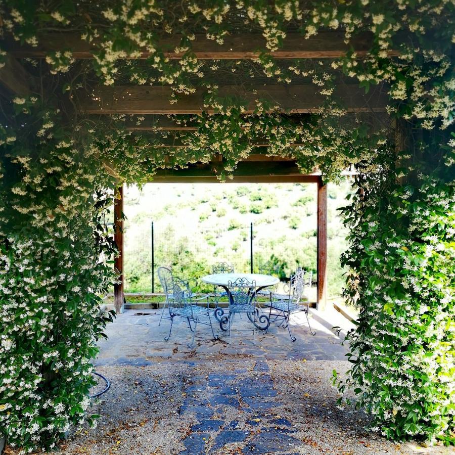 Fattoria Tolomei Campagnatico Exteriör bild