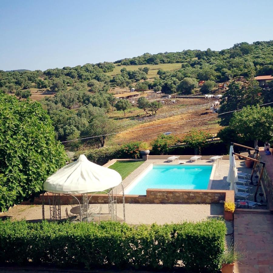 Fattoria Tolomei Campagnatico Exteriör bild