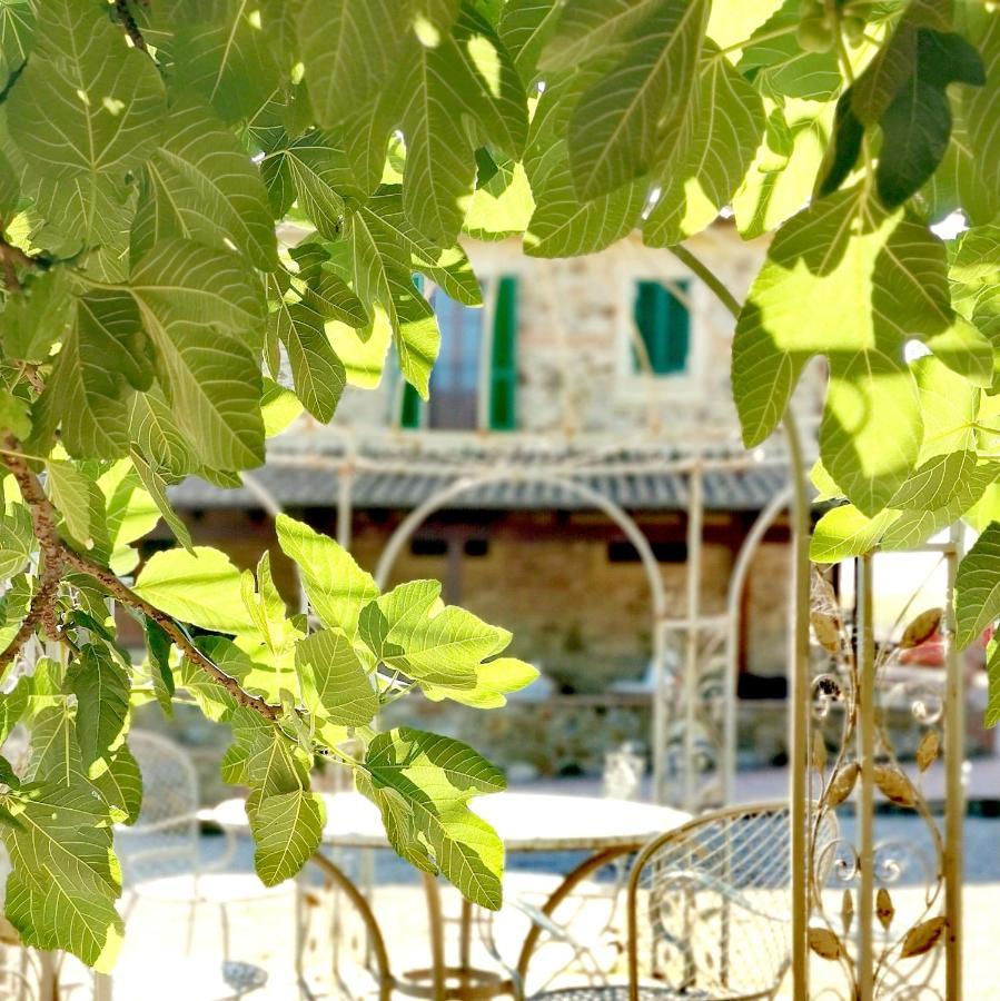 Fattoria Tolomei Campagnatico Exteriör bild