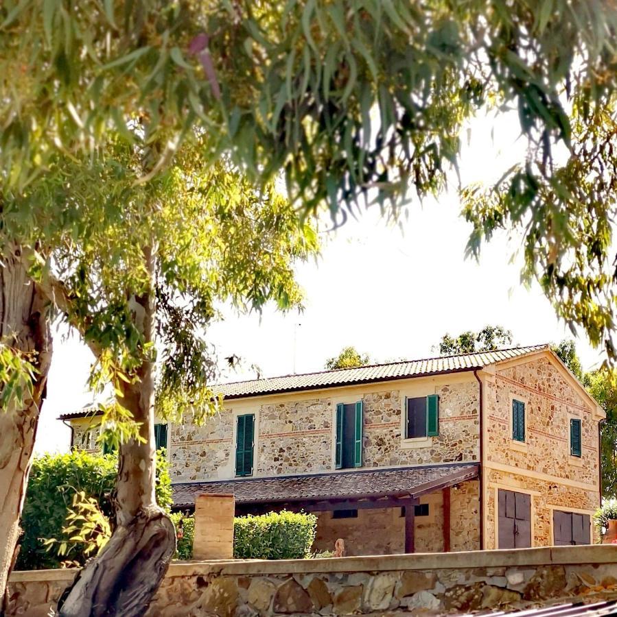 Fattoria Tolomei Campagnatico Exteriör bild
