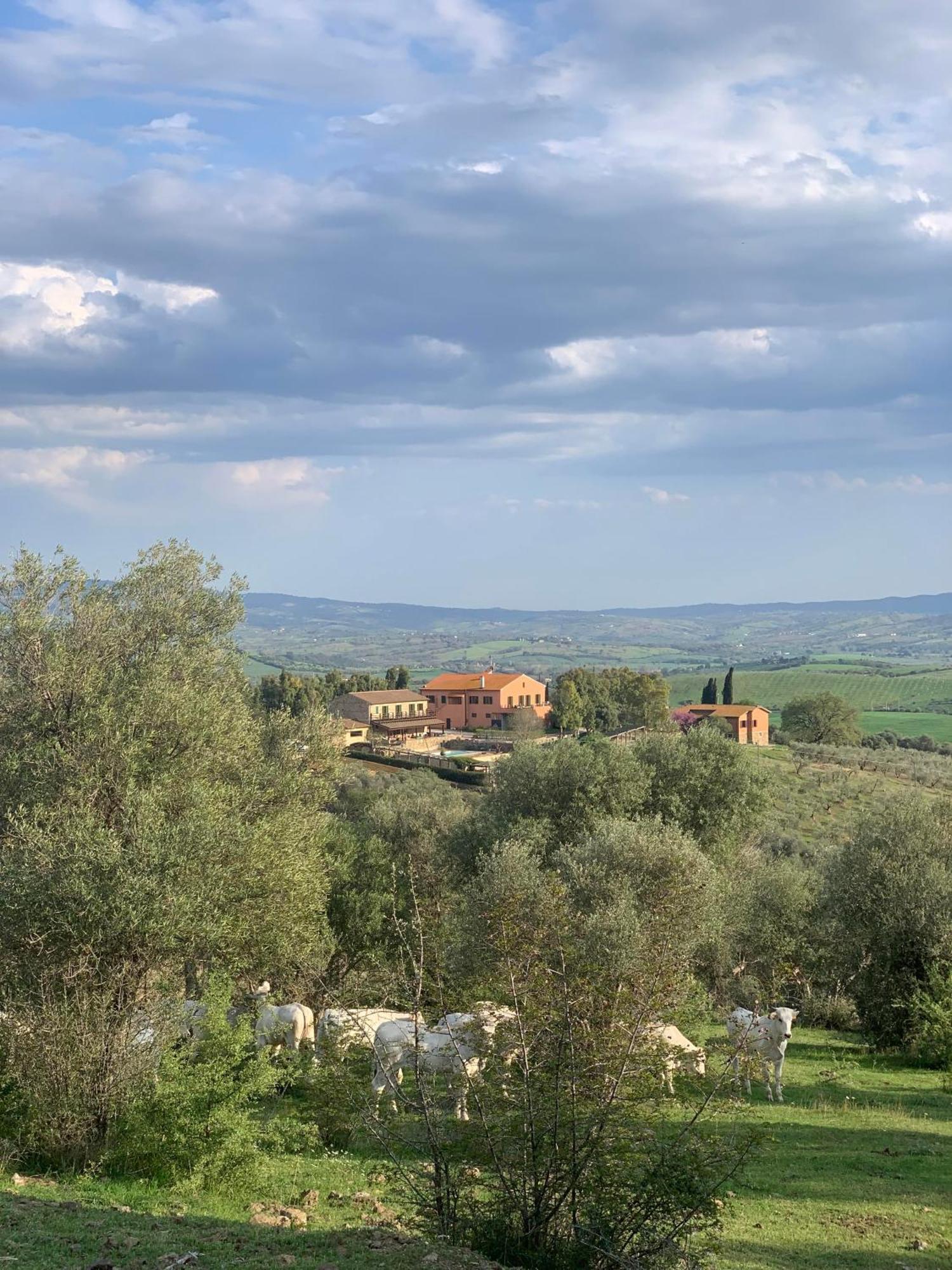 Fattoria Tolomei Campagnatico Exteriör bild
