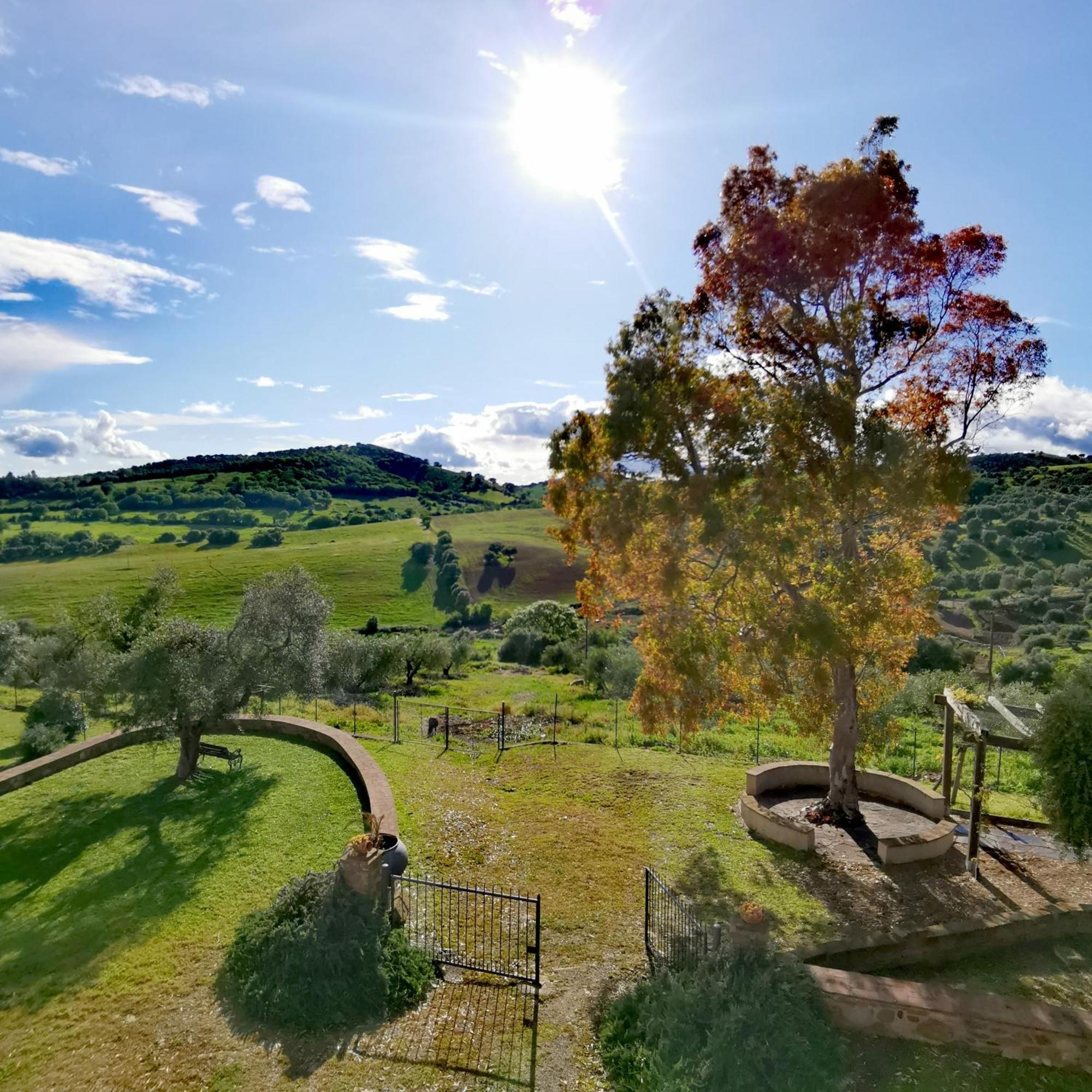 Fattoria Tolomei Campagnatico Exteriör bild