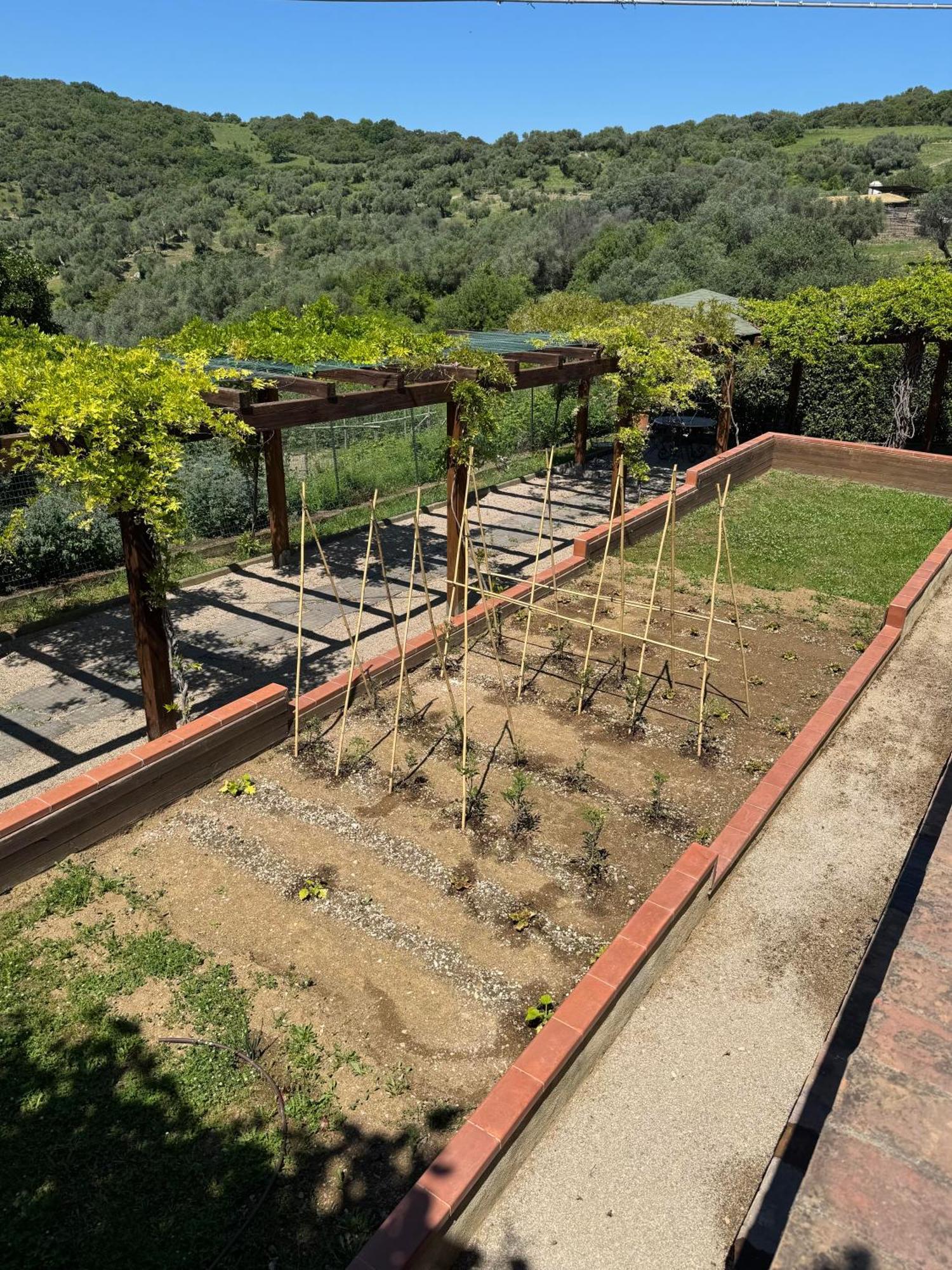 Fattoria Tolomei Campagnatico Exteriör bild